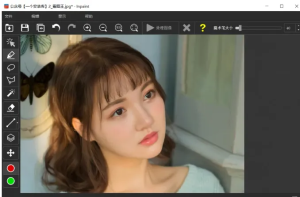 一键去水印神器：Teorex Inpaint v11.0.1,图片瑕疵秒变无痕-BIG设计