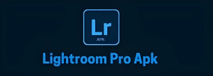 手机版Adobe Lightroom v10.2.1 高级VIP功能,编辑专业图片无限使用-BIG设计