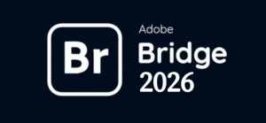 【Adobe】全新Bridge 2026 16.0中文版安装教程，可联动PS AI修图，告别混乱！-BIG设计